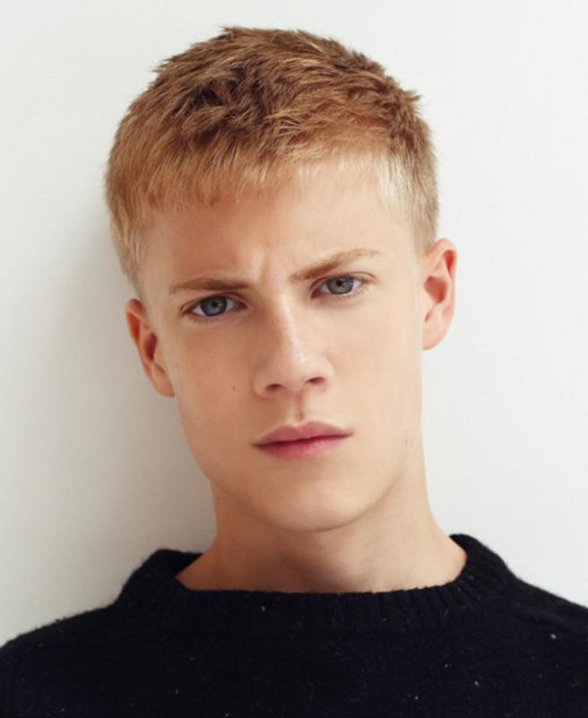 tom taylor